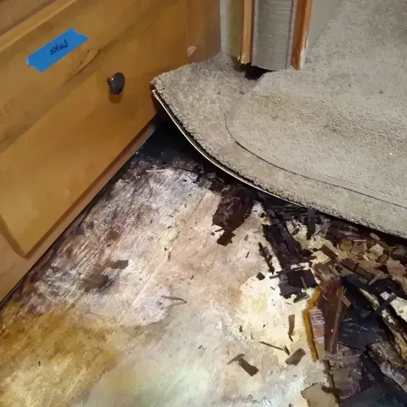 Wood Floor Water Damage in Bristol, VA